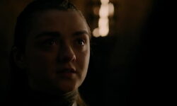 Arya stark sex scene