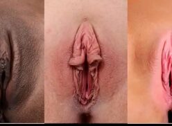 Foto de vaginas