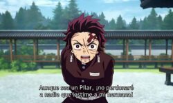 Kimetsu no yaiba ep 22 legendado pt br