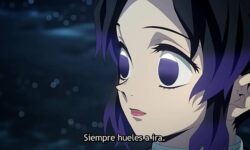 Kimetsu no yaiba ep 24 legendado