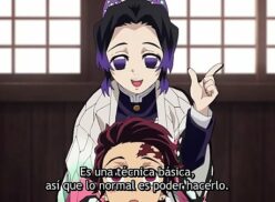 Kimetsu no yaiba ep 25 legendado pt br