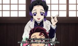 Kimetsu no yaiba ep 25 legendado pt br