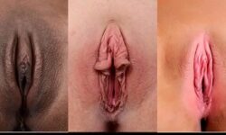Tipos de vaginas