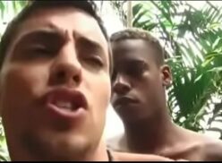 Videos gays com negros
