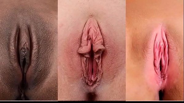 Bucetas idosas - Sexo Porno - Xvideos