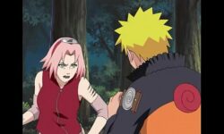 Naruto e sakura