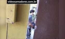 Vídeo brasileiro