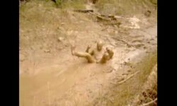 Gay porn mud