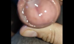 Precum xxx