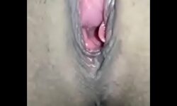 Vagina de negra